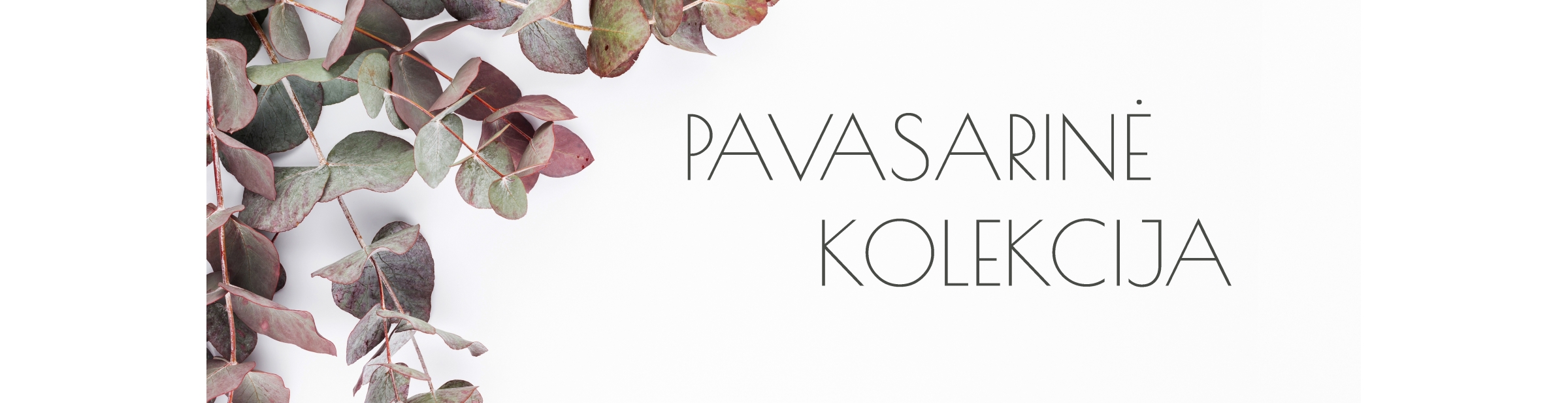 Batų išpardavimas