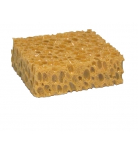 Kempinėlė putoms